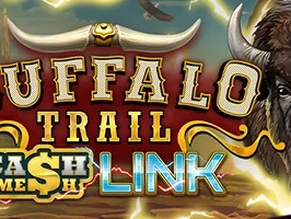 Buffalo Trail Cash Mesh Link